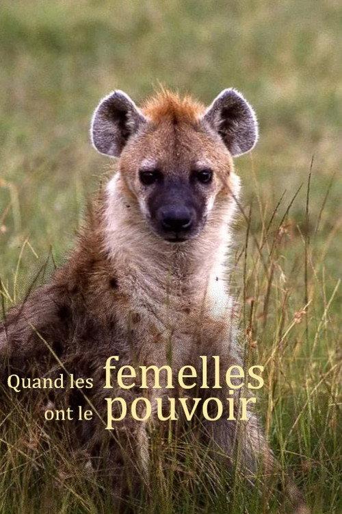 Quand les femelles ont le pouvoir backdrop