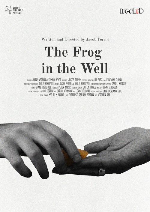 The Frog in The Well backdrop