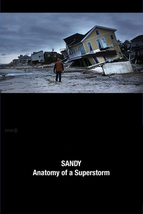Sandy: Anatomy of a Superstorm backdrop