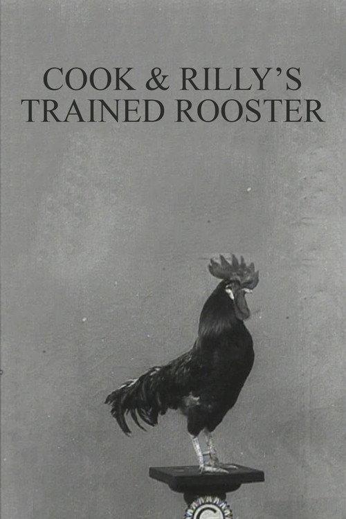 Cook & Rilly's Trained Rooster backdrop