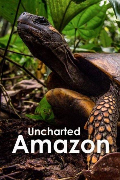 Uncharted Amazon backdrop
