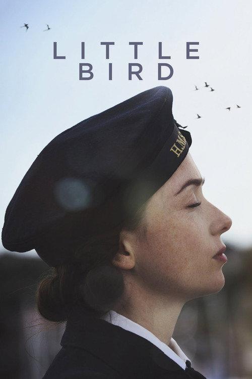 Little Bird backdrop