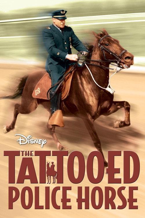 The Tattooed Police Horse backdrop