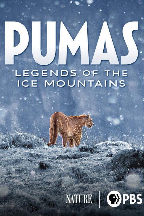 Pumas: Legends of the Ice Mountains backdrop