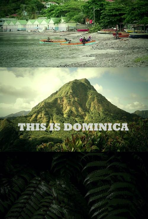 This Is Dominica backdrop