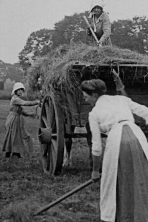 Women Hay Makers backdrop