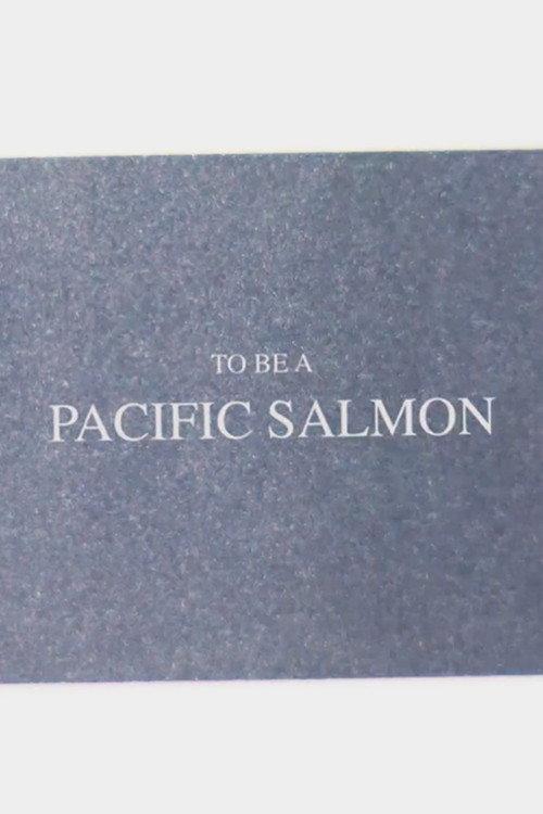 To Be A Pacific Salmon backdrop