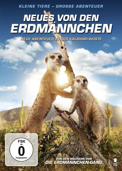 Kalahari Meerkats backdrop