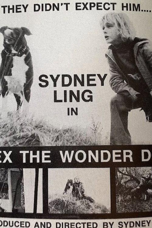 Lex, the Wonder Dog backdrop