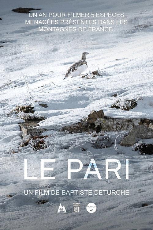 Le pari backdrop