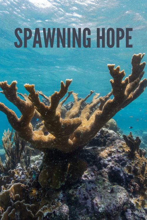 Spawning Hope backdrop