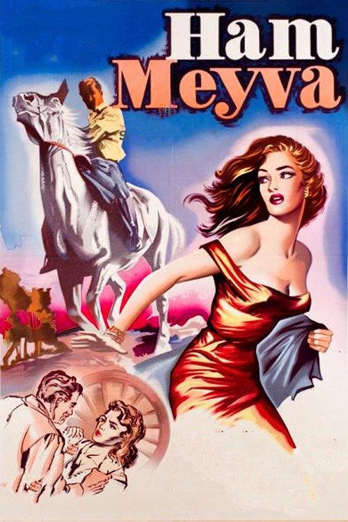 Ham Meyve backdrop