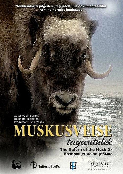 The Return of the Musk Ox backdrop