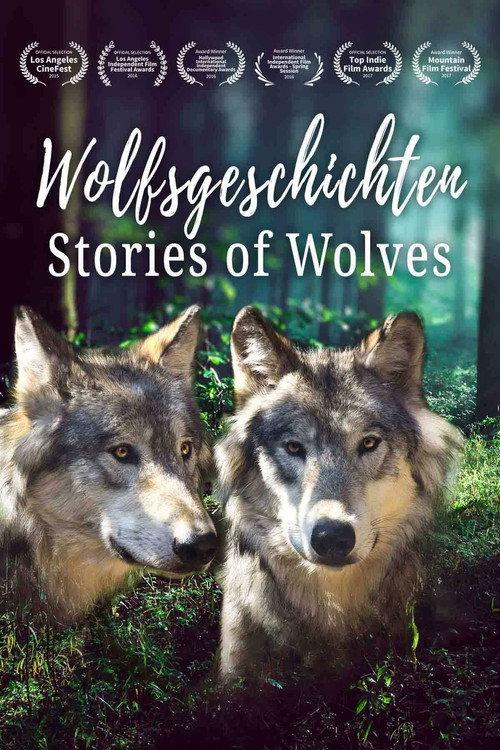 Stories of Wolves-The Lobo returns backdrop