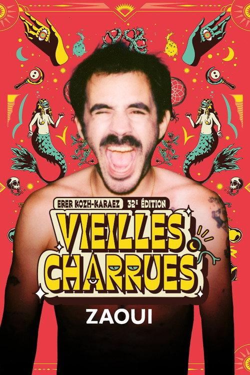 Zaoui en concert aux Vieilles Charrues 2024 backdrop
