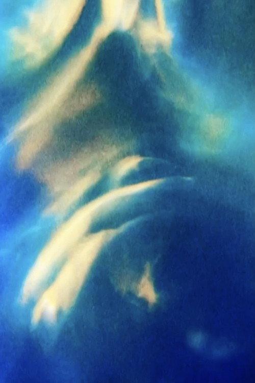 Opalescence backdrop