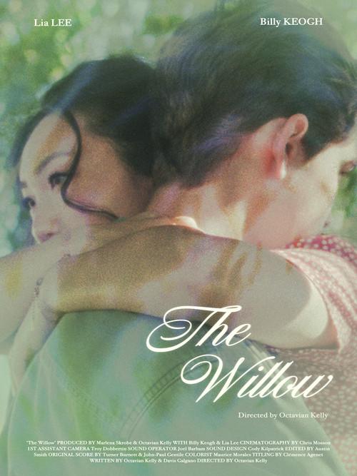 The Willow backdrop