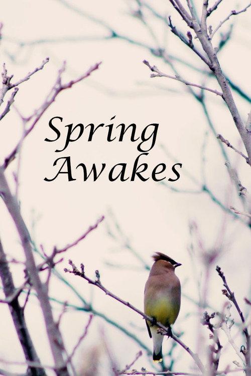 Spring Awakes backdrop