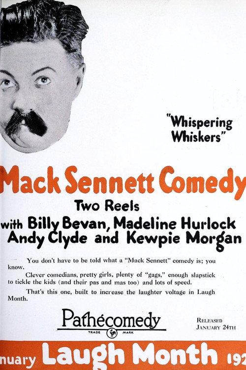Whispering Whiskers backdrop