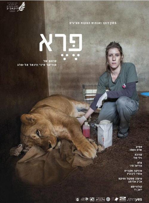 Wild: Life, Death and Love in a Wildlife Hospital backdrop