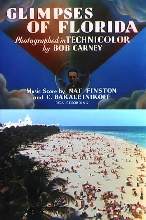 Glimpses of Florida backdrop