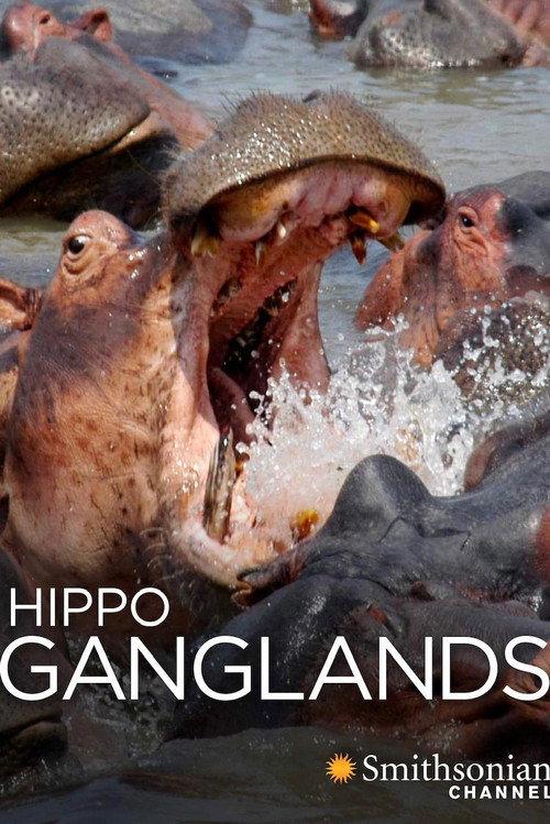 Hippo Ganglands backdrop