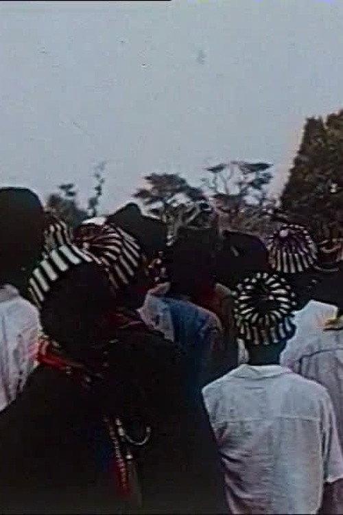 Réjouissances sénégalaises backdrop