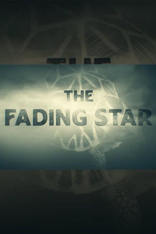 The Fading Star backdrop