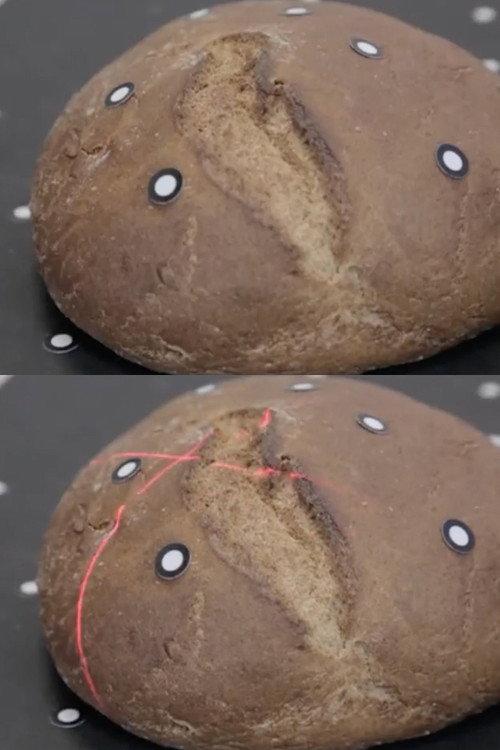 Bread. Gene backdrop