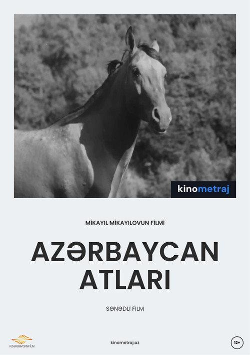 Azerbaijani Horses backdrop