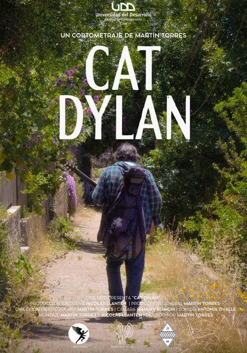 Cat Dylan backdrop