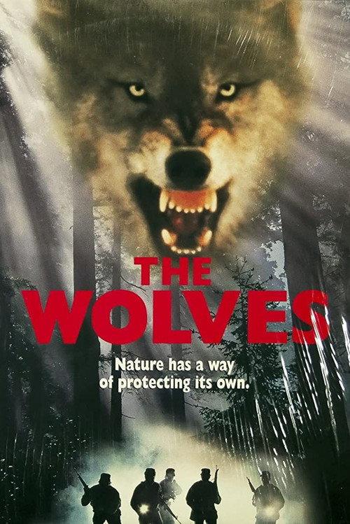 The Wolves backdrop