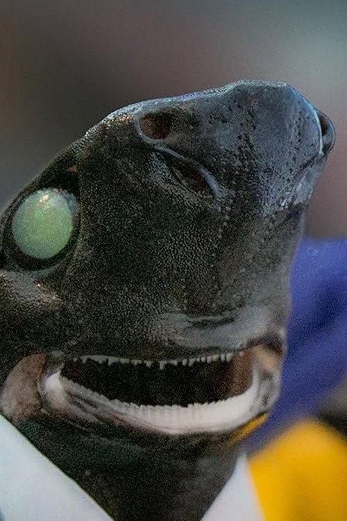 Alien Sharks: Return To The Abyss backdrop