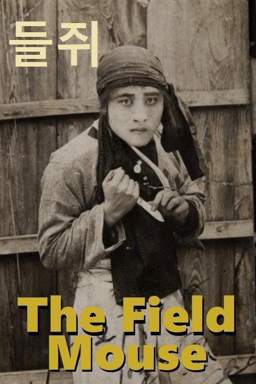 Field Mouse backdrop