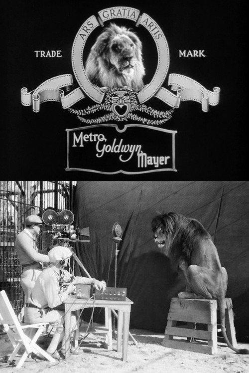 Metro-Goldwyn-Mayer's Big Parade Hits for 1940 backdrop