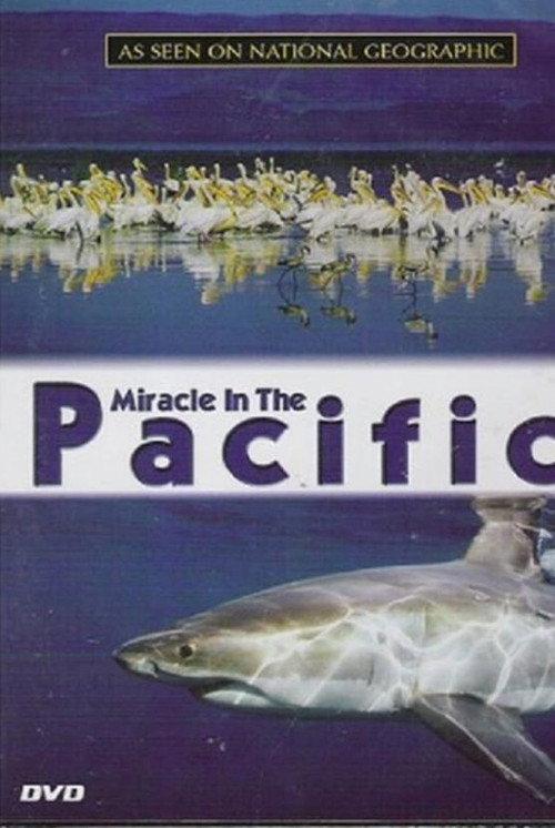 Miracle in the Pacific backdrop