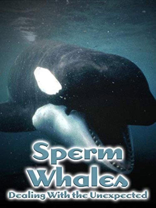 Sperm Whales: Dealing with the Unexpected backdrop