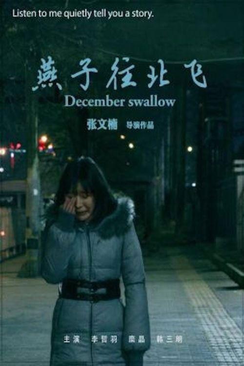 December Swallow backdrop