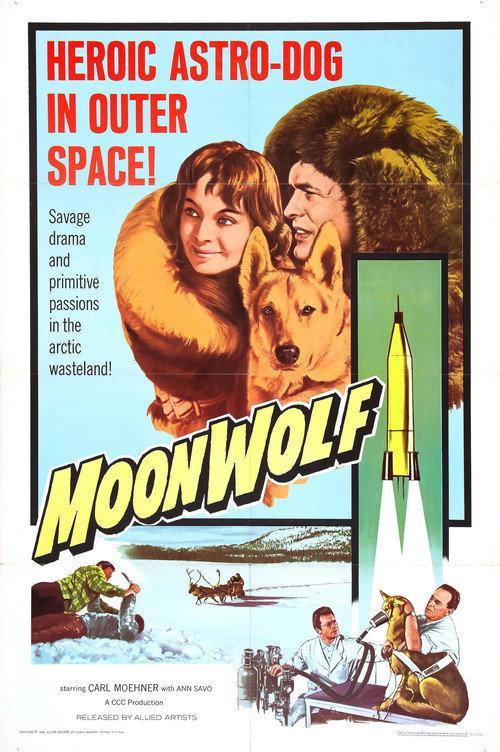 Moonwolf backdrop