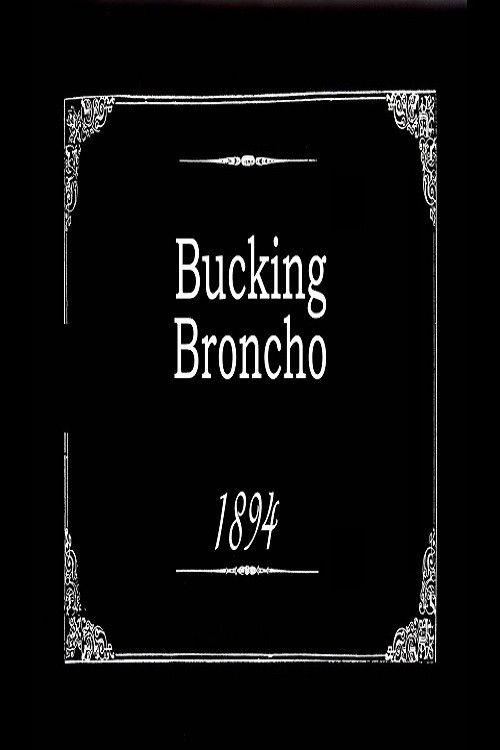 Bucking Broncho backdrop