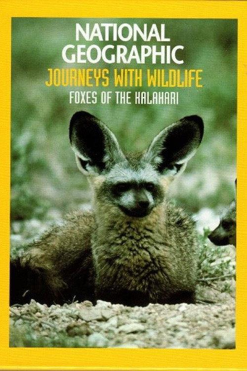 Foxes of the Kalahari backdrop