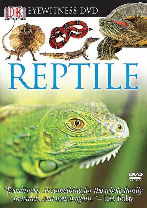 Eyewitness: Reptile backdrop