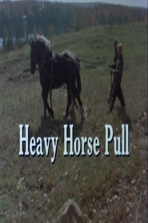 Heavy Horse Pull backdrop