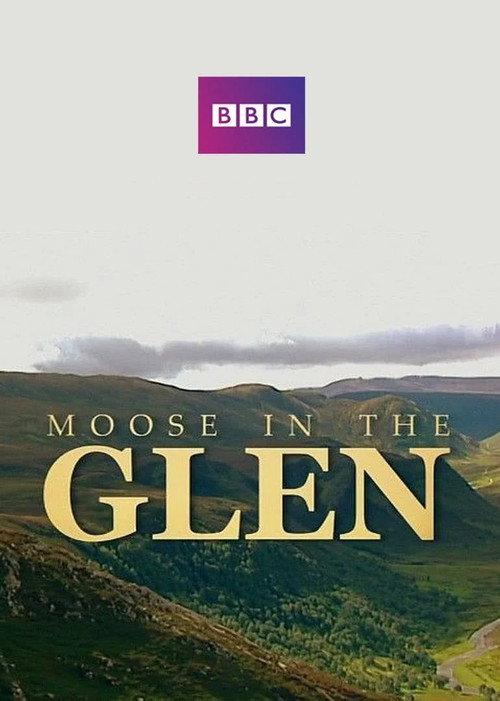 Moose in the Glen backdrop