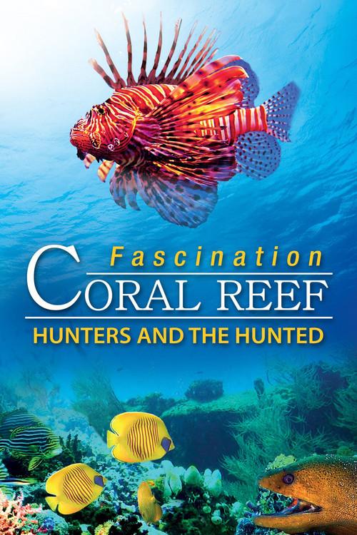 Fascination Coral Reef: Hunters and the Hunted backdrop