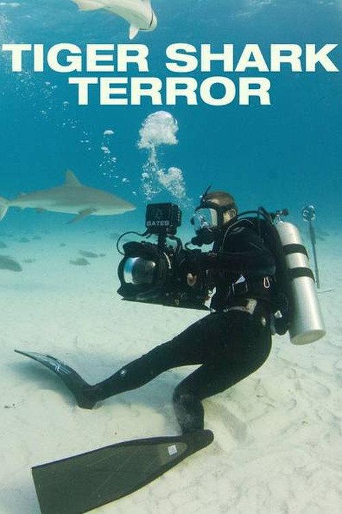 Tiger Shark Terror backdrop