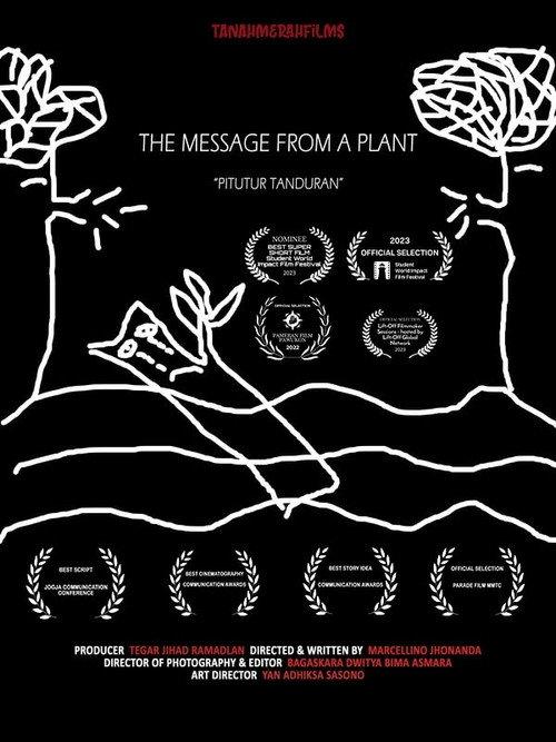 The Message from a Plant backdrop