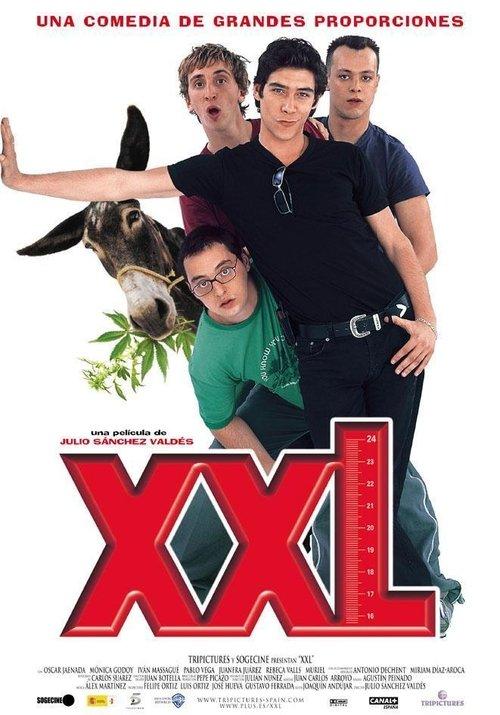 XXL backdrop
