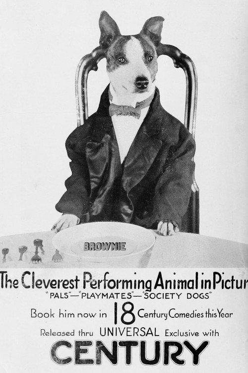 Society Dogs backdrop