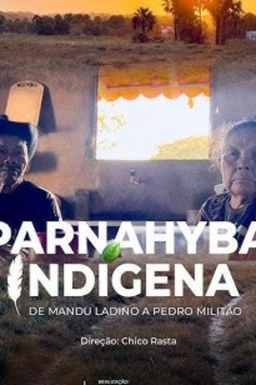 Parnahyba Indígena backdrop